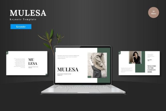 Mulesa - Keynote Template