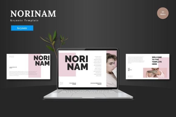Norinam - Keynote Template: A Versatile Tool for Every Presentation Need